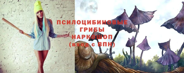 хмурый Новодвинск