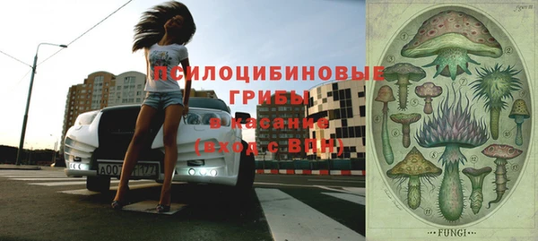 бошки Новокубанск