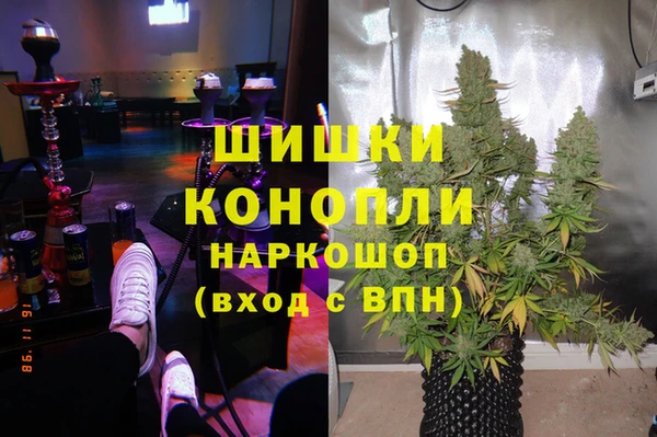 метадон Новозыбков