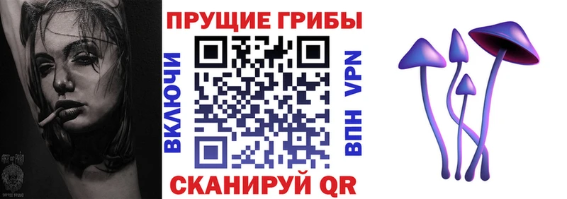 Галлюциногенные грибы мухоморы  Купить где  Калуга 